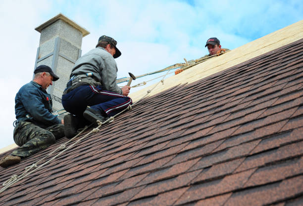 Roof Gutter Cleaning in Lake California, CA